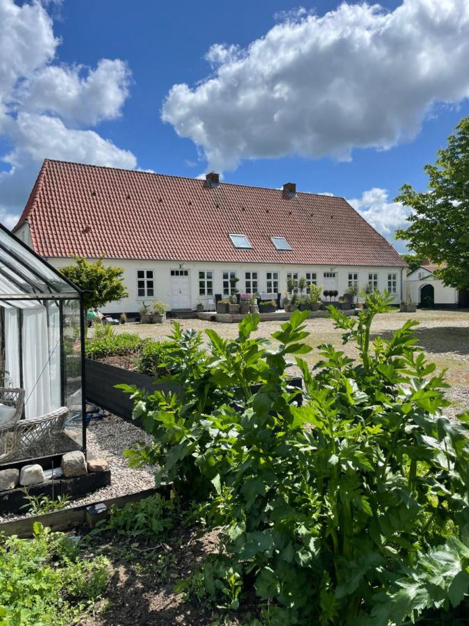 Апартаменты Landligt Ophold Pa Midtgard Vamdrup Экстерьер фото