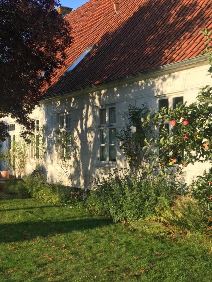 Апартаменты Landligt Ophold Pa Midtgard Vamdrup Экстерьер фото
